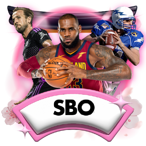 wt-bbin-live cover image png
